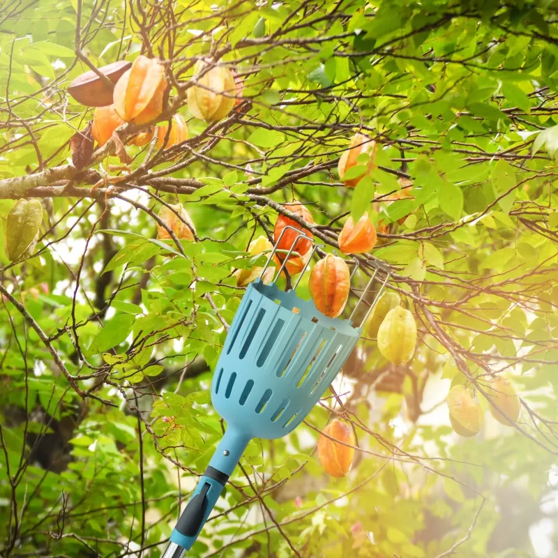 Fruit Picker Tool Adjustable Fruit Picker with Basket Apple Orange Pear Picker with Light-Weight Stainless Steel Pole