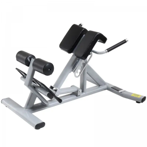 Professional goat push-up lumbar back muscle training Roman stool