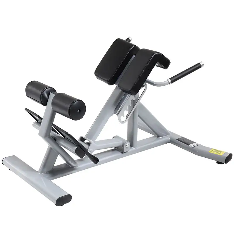 Professional goat push-up lumbar back muscle training Roman stool