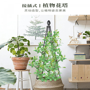 Receiving climbing vine frame, plant support frame, clematis triangle frame, pot support, traction flower frame